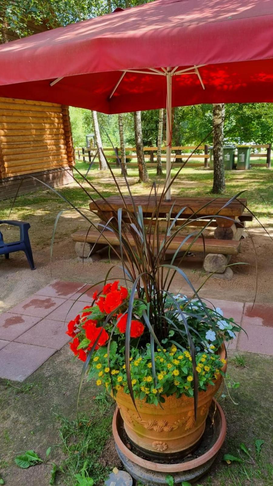 Camping Oskalns Cēsis 외부 사진